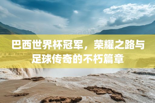 巴西世界杯冠军,荣耀之路与足球传奇的不朽篇章