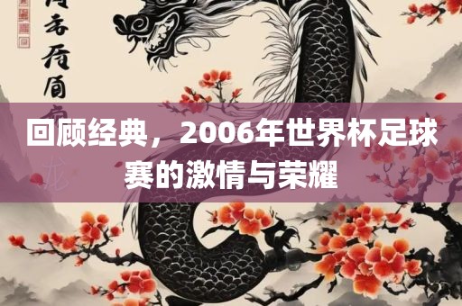 回顾经典，2006年世界杯足球赛的激情与荣耀