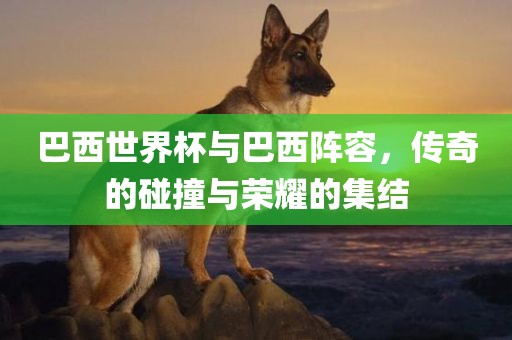 巴西世界杯与巴西阵容，传奇的碰撞与荣耀的集结