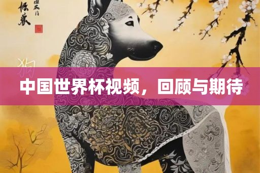 中国世界杯视频，回顾与期待