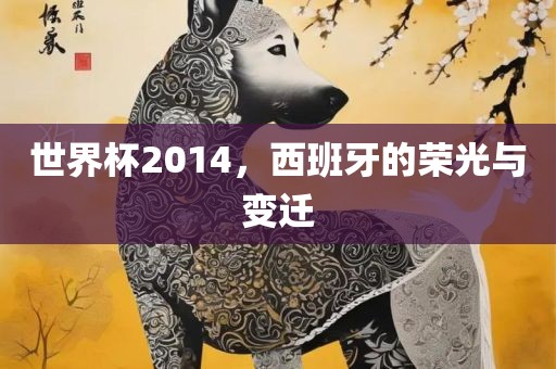 世界杯2014，西班牙的荣光与变迁