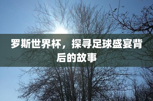 罗斯世界杯，探寻足球盛宴背后的故事