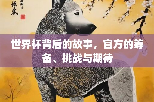 世界杯背后的故事，官方的筹备、挑战与期待