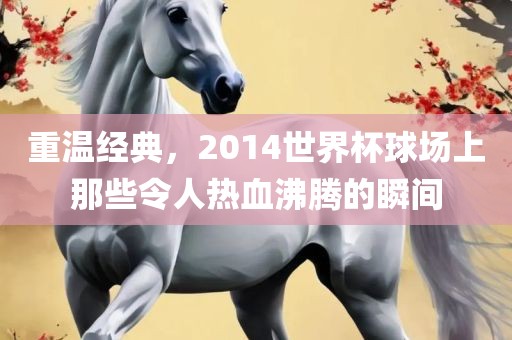 重温经典，2014世界杯球场上那些令人热血沸腾的瞬间