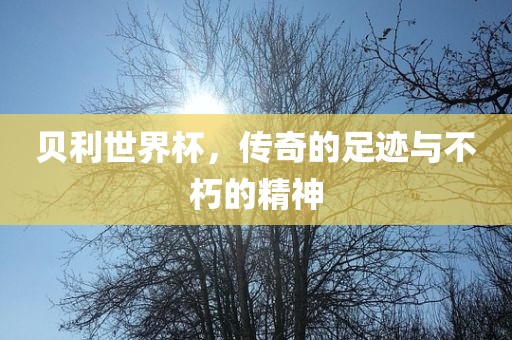 贝利世界杯，传奇的足迹与不朽的精神