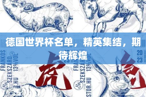 德国世界杯名单，精英集结，期待辉煌