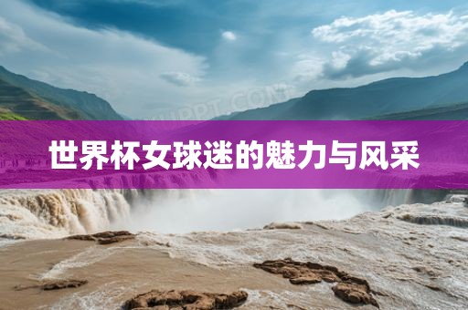 世界杯女球迷的魅力与风采