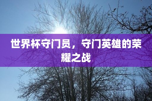 世界杯守门员，守门英雄的荣耀之战