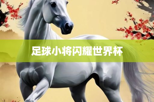 足球小将闪耀世界杯