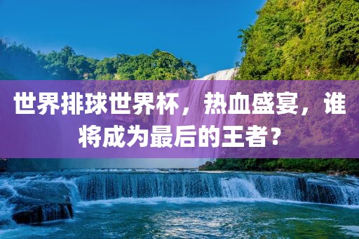 世界排球世界杯，热血盛宴，谁将成为最后的王者？