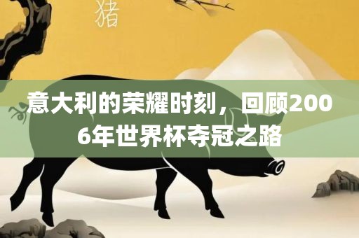 意大利的荣耀时刻，回顾2006年世界杯夺冠之路