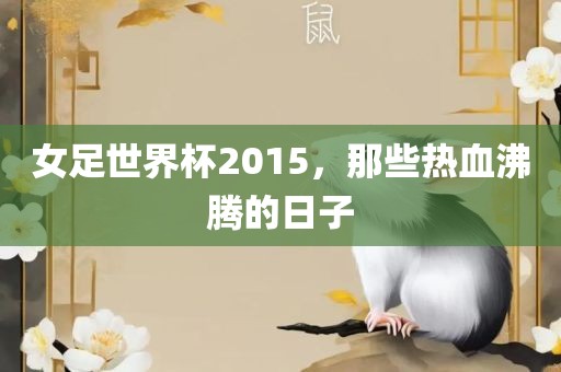 女足世界杯2015，那些热血沸腾的日子