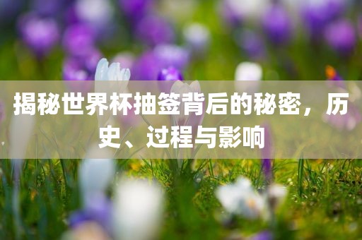 揭秘世界杯抽签背后的秘密,历史、过程与影响