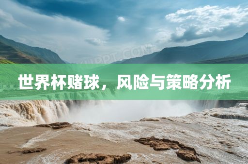 世界杯赌球，风险与策略分析