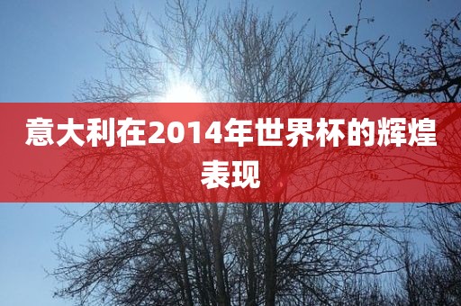 意大利在2014年世界杯的辉煌表现