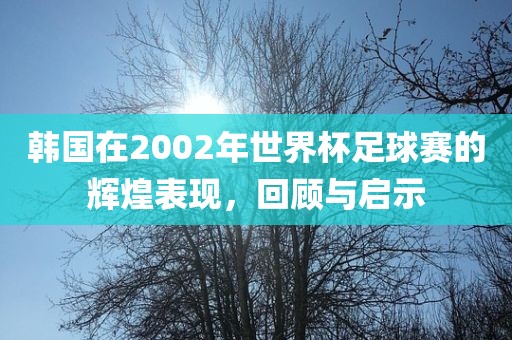 韩国在2002年世界杯足球赛的辉煌表现，回顾与启示