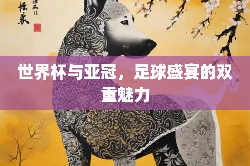 世界杯与亚冠，足球盛宴的双重魅力