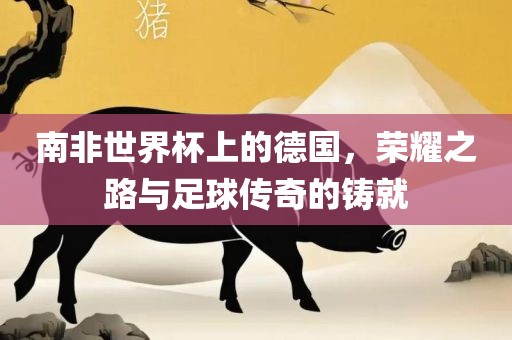 南非世界杯上的德国，荣耀之路与足球传奇的铸就