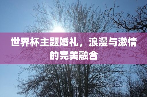 世界杯主题婚礼，浪漫与激情的完美融合