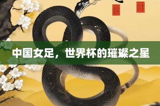 中国女足，世界杯的璀璨之星