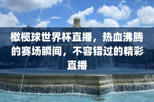 橄榄球世界杯直播,热血沸腾的赛场瞬间,不容错过的精彩直播
