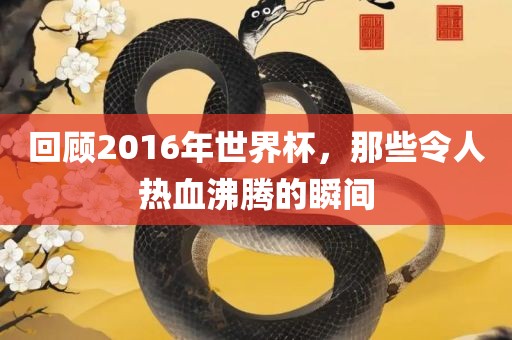 回顾2016年世界杯，那些令人热血沸腾的瞬间