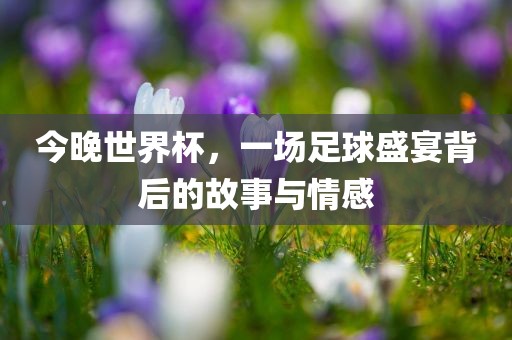 今晚世界杯，一场足球盛宴背后的故事与情感