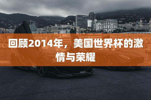 回顾2014年，美国世界杯的激情与荣耀