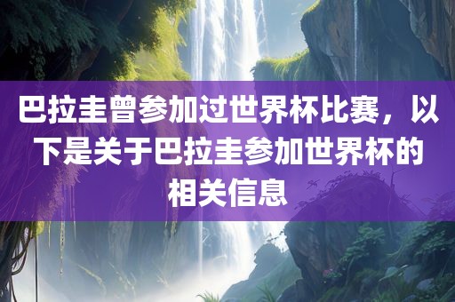 巴拉圭曾参加过世界杯比赛，以下是关于巴拉圭参加世界杯的相关信息