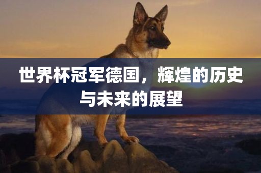 世界杯冠军德国,辉煌的历史与未来的展望