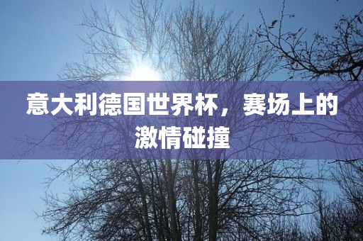 意大利德国世界杯,赛场上的激情碰撞