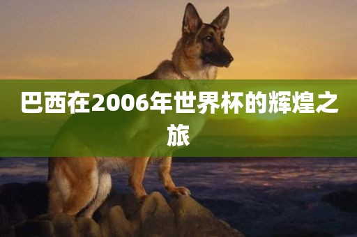 巴西在2006年世界杯的辉煌之旅
