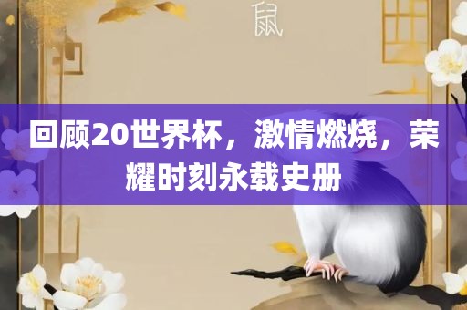 回顾20世界杯，激情燃烧，荣耀河南立本管道设备有限公司时刻永载史册