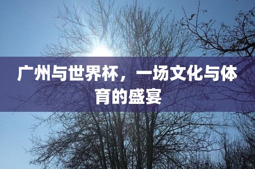 广州与世界杯，一场文化与体育的盛宴