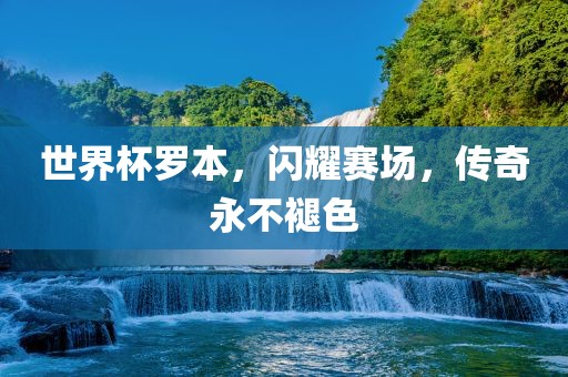 世界杯罗本，闪耀赛场，传奇永不褪色