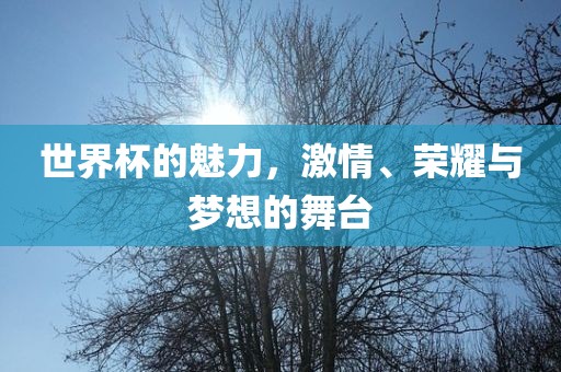 世界杯的魅力，激情、荣耀与梦想的舞台