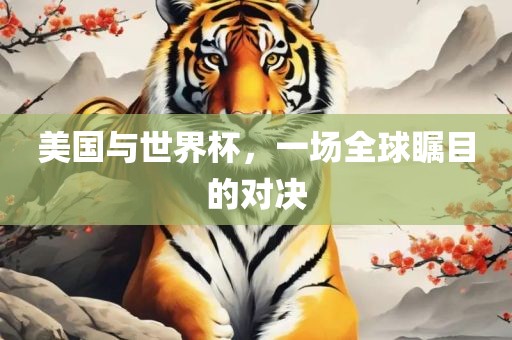美国与世界杯，一场全球瞩目的对决