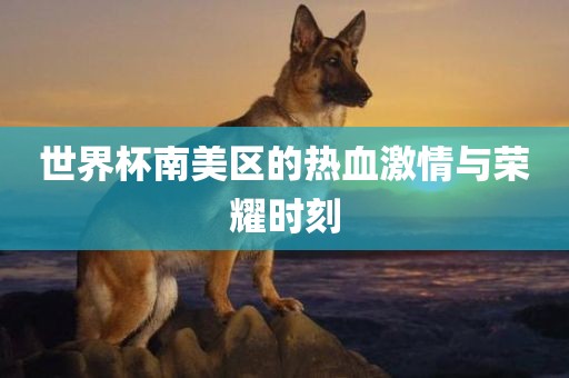 世界杯南美区的热血激情与荣耀时刻