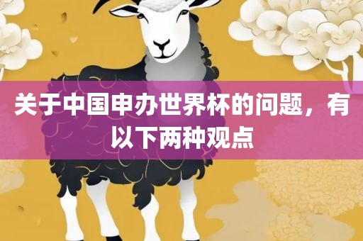 关于中国申办世界杯的问题，有以下两种观点