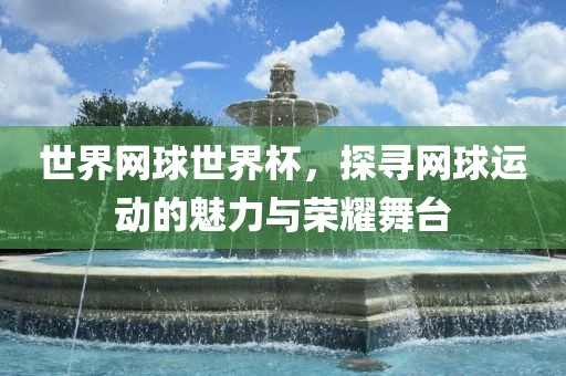 世界网球世界杯，探寻网球运动的魅力与荣耀舞台