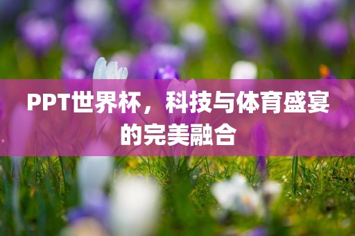 PPT世界杯，科技与体育盛宴的完美融合