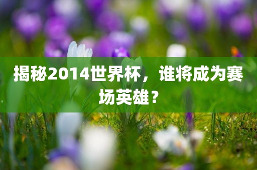 揭秘2014世界杯，谁将成为赛场英雄？