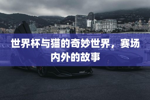 世界杯与猫的奇妙世界,赛场内外的故事