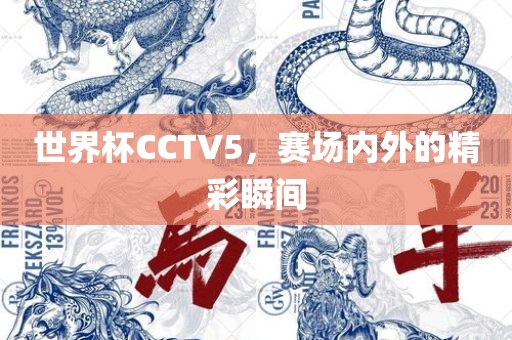 世界杯CCTV5，赛场内外的精彩瞬间