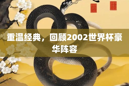 重温经典，回顾2002世界杯豪华阵容