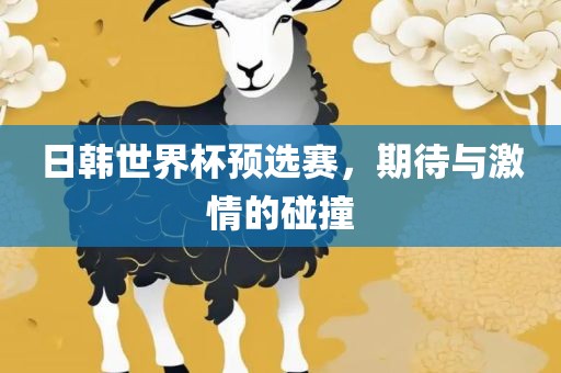 日韩世界杯预选赛,期待与激情的碰撞