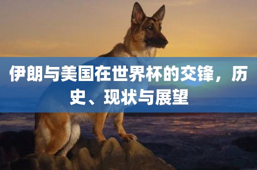 伊朗与美国在世界杯的交锋,历史、现状与展望