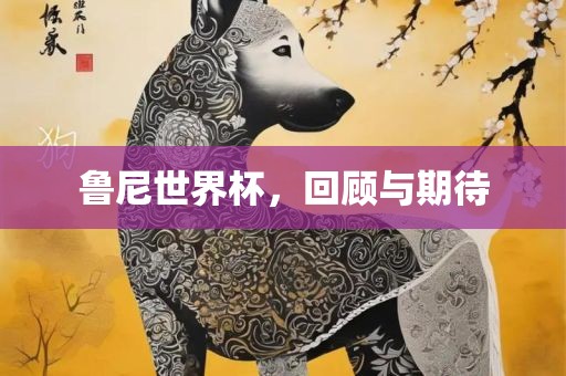 鲁尼世界杯，回顾与期待