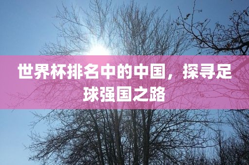 世界杯排名中的中国,探寻足球强国之路