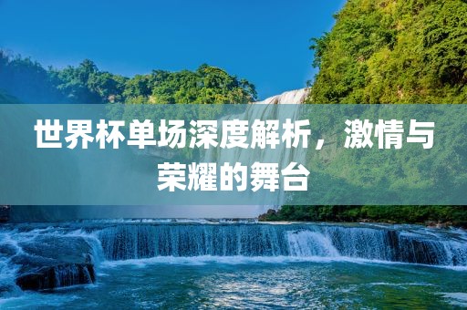 世界杯单场深度解析，激情与荣耀的舞台